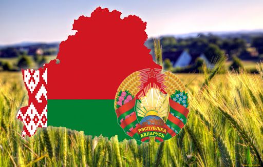 ГОСУДАРСТВЕННЫЕ ПРОГРАММЫ